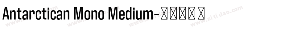Antarctican Mono Medium字体转换